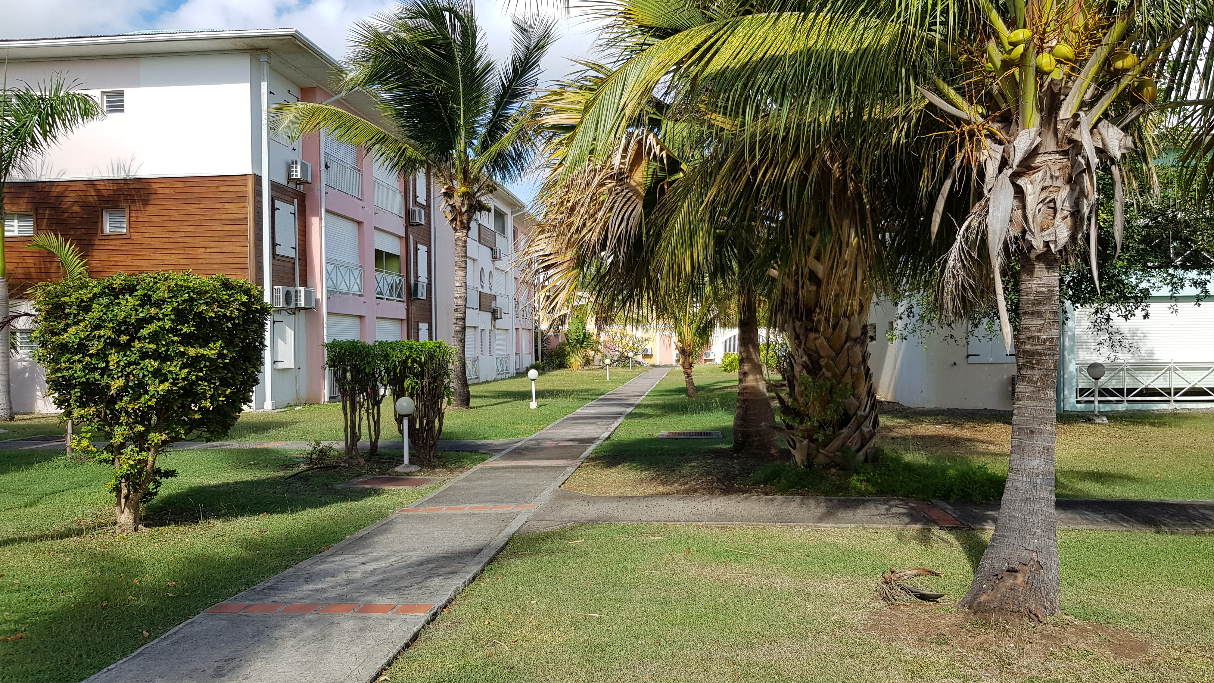 Jardin tropical